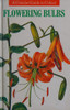 I. E. Petrova / Flowering Bulbs (Hardback)