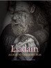 Ailbhe Ní Ghearbhuigh & Chrissie Dervin - Liadain - HB - BRAND NEW