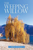 Ben O'Dea / The Weeping Willow (Large Paperback)