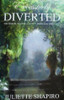 Juliette Shapiro / Excessively Diverted (Large Paperback)