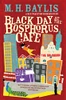 M. H. Baylis / Black Day at the Bosphorus Cafe