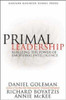 Daniel Goleman / Primal leadership (Hardback)