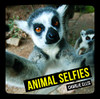 Charlie Ellis / Animal Selfies (Hardback)