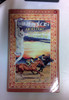 Fay Sampson / Finnglas and the Stones of Choosing (the "Pangur Ban" Series) (Older Edition Small Paperback)