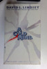David L. Lindsey / A Cold Mind (Older Edition Small Paperback)