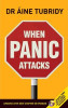 Aine Tubridy / When Panic Attacks (Large Paperback)