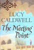 Lucy Caldwell / The Meeting Point (Large Paperback)