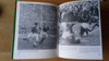 Edmund Van Esbeck - Irish Rugby Scrapbook - Illustrated 1982