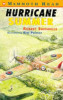 Robert Swindells / Hurricane Summer