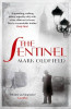 Mark Oldfield / The Sentinel
