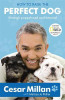 Cesar Millan / How to Raise the Perfect Dog