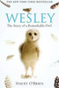 Stacey O'Brien / Wesley : The Story of a Remarkable Owl