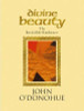John O'Donohue / Divine Beauty : The Invisible Embrace (Hardback)
