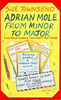 Sue Townsend / Adrian Mole from Minor to Major (Hardback)