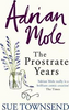 Sue Townsend / Adrian Mole: The Prostrate Years (Large Paperback)