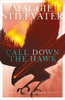 Maggie Stiefvater / Call Down the Hawk