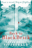 Sarah Moore Fitzgerald / Back to Blackbrick (Hardback)