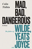Colm Toibin / Mad, Bad, Dangerous to Know (Hardback)