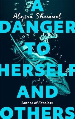 Alyssa Sheinmel / A Danger to Herself and Others