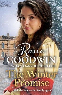 Rosie Goodwin / The Winter Promise (Hardback)