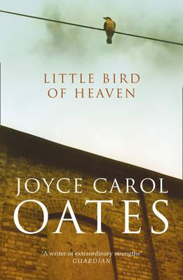 Joyce Carol Oates / Little Bird of Heaven (Large Paperback)