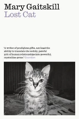 Mary Gaitskill / Lost Cat