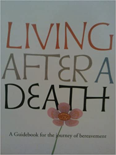 Mary-Paula Walsh / Living After a Death (Large Paperback)