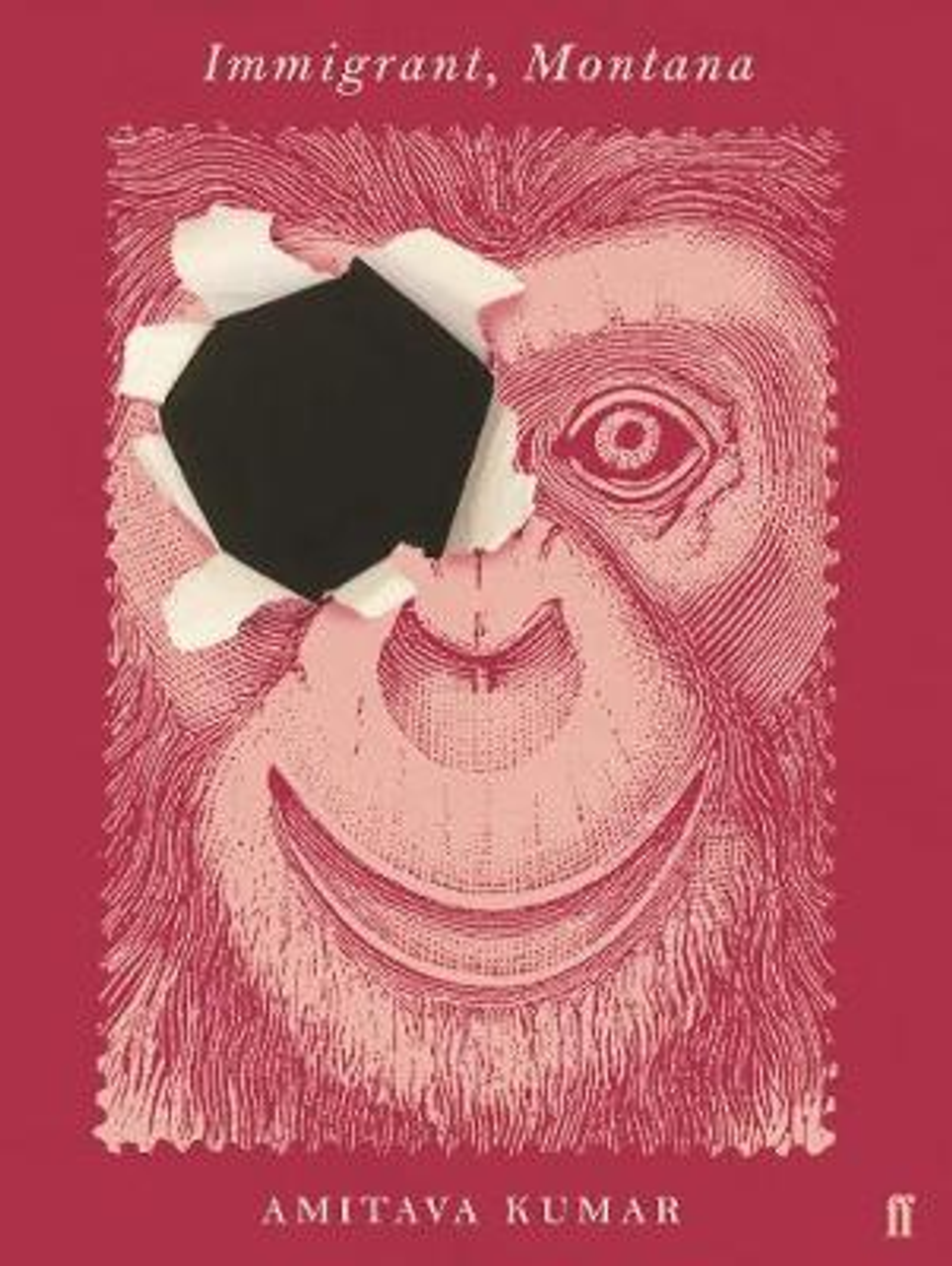 Amitava Kumar / Immigrant, Montana (Large Paperback)