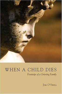 Jim OShea / When a Child Dies (Large Paperback)