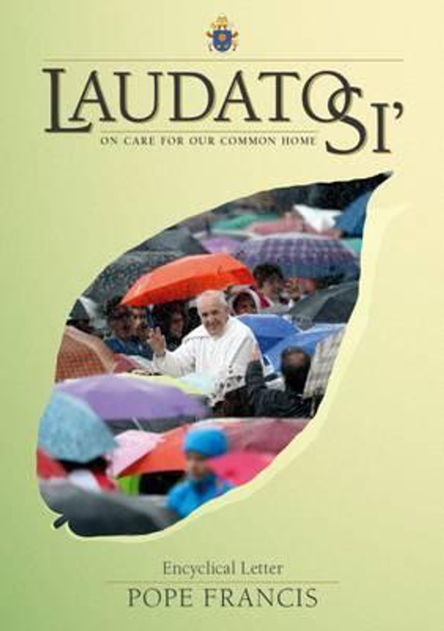 Pope Francis / Laudato Si: On Care for Our Common Home (Large Paperback)