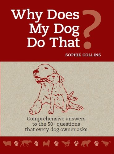 Sophie Collins / Why Does My Dog do that? (Large Paperback)