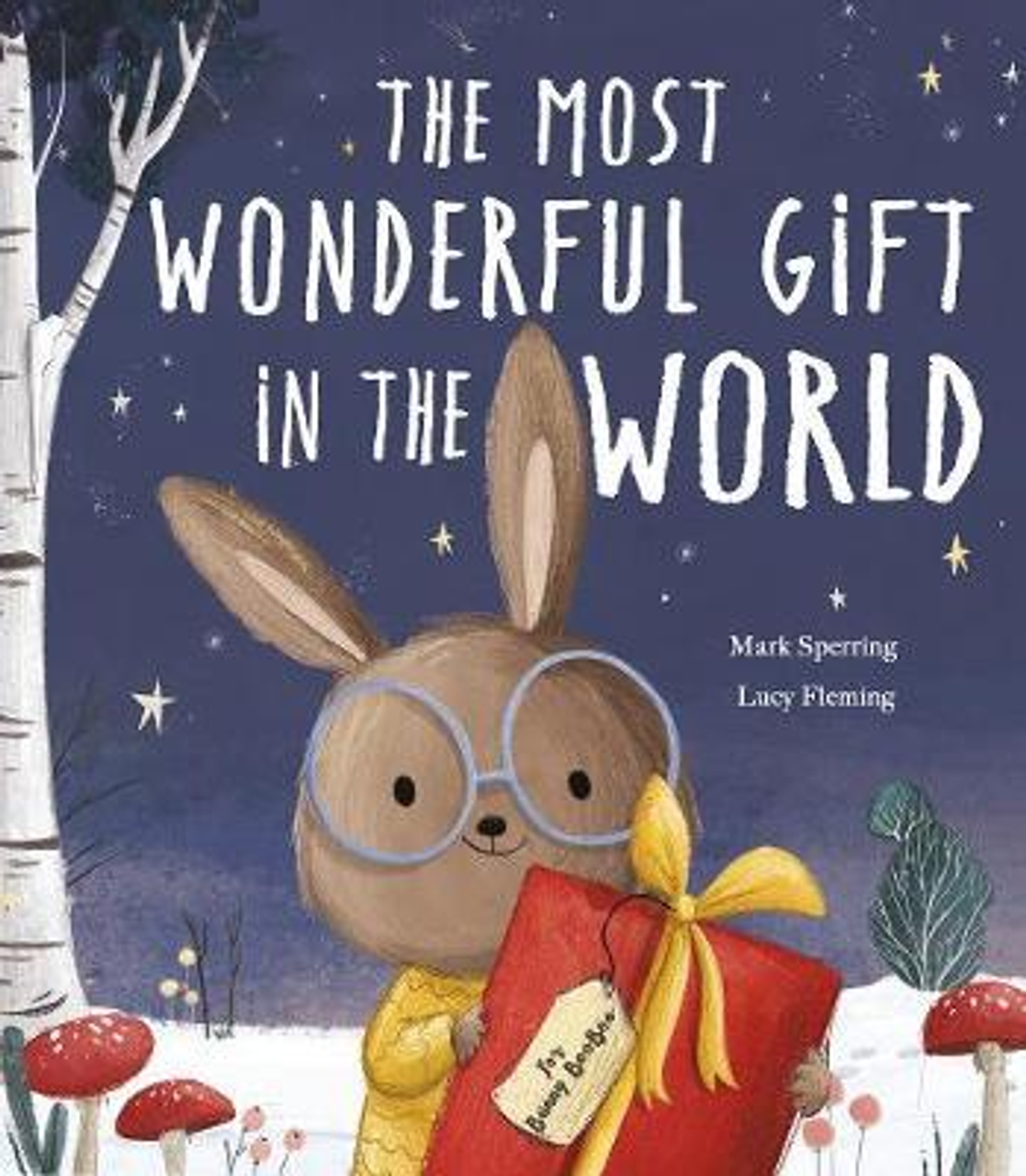 Mark Sperring / The Most Wonderful Gift in the World (Children's Picture Book)