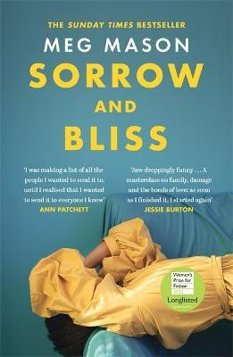 Meg Mason / Sorrow and Bliss (Hardback)