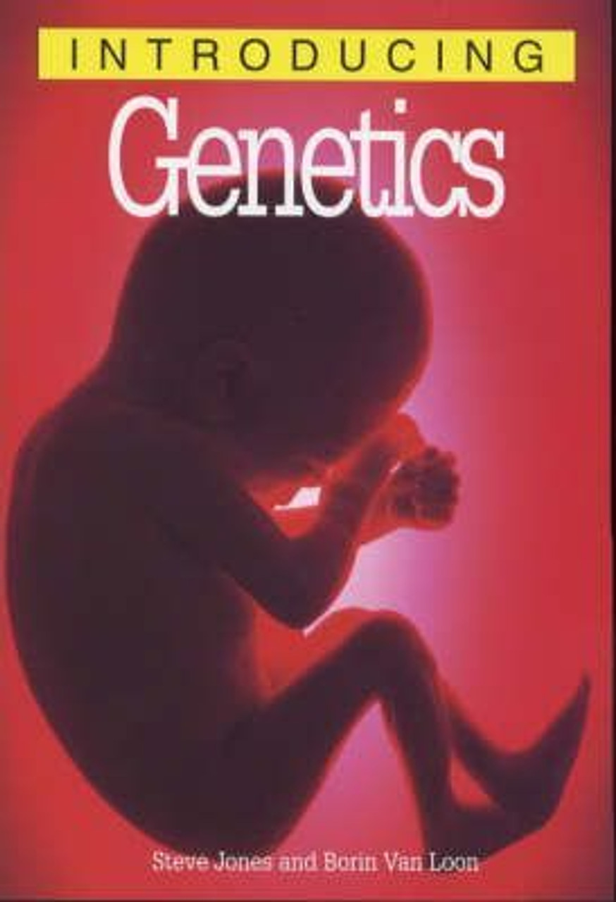 Steve Jones / Introducing Genetics (Large Paperback)