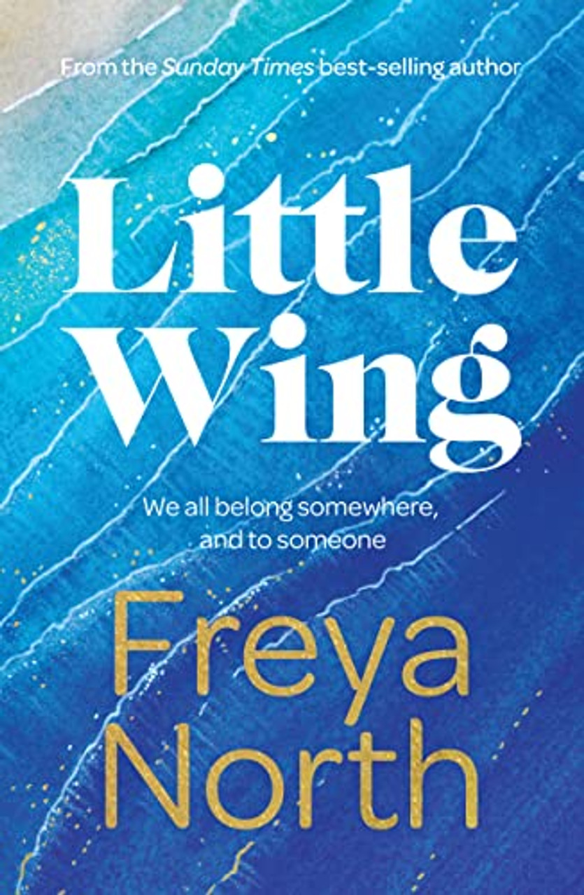 Freya North / Little Wing (Large Paperback)