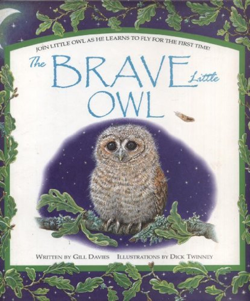 Gill Davies / The Brave Little Owl (Children's Coffee Table book)