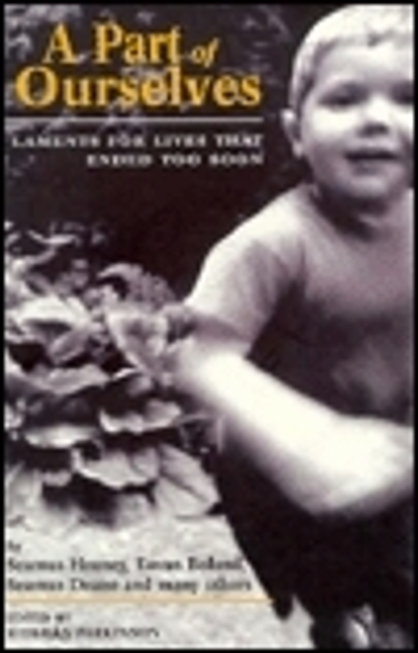 Siobhan Parkinson / A Part of Ourselves : Lament for Lives That Ended Too Soon (Large Paperback)