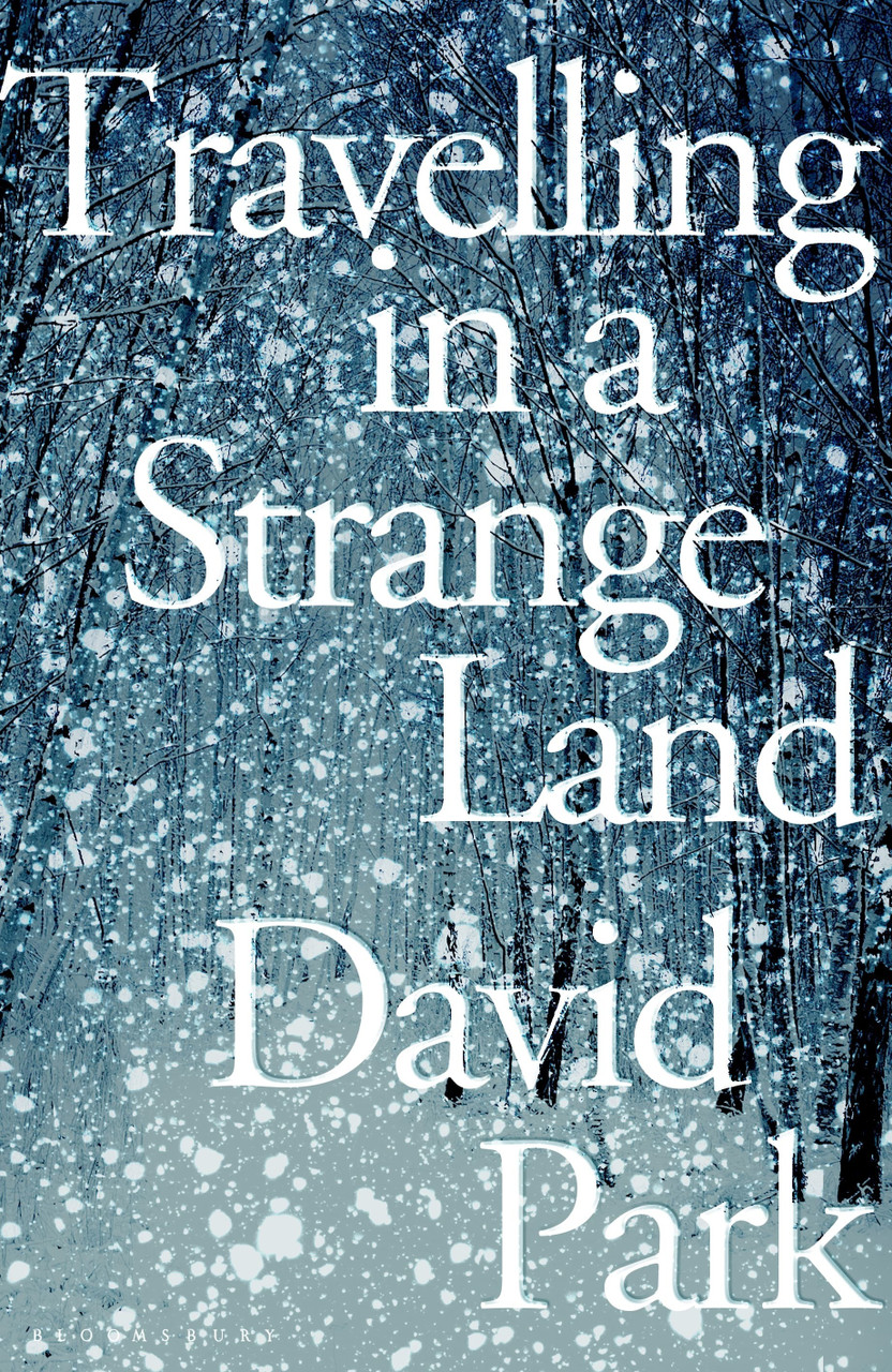 David Park / Travelling in a Strange Land (Hardback)