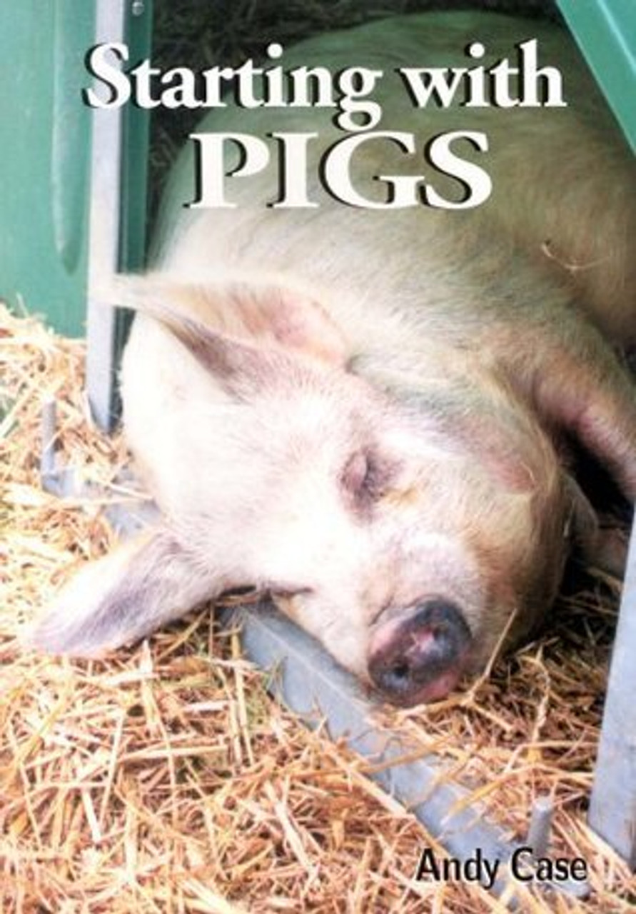 Andy Case / Starting With Pigs : A Beginner's Guide (Large Paperback)
