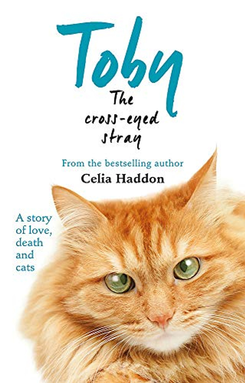 Celia Haddon / Toby The Cross-Eyed Stray