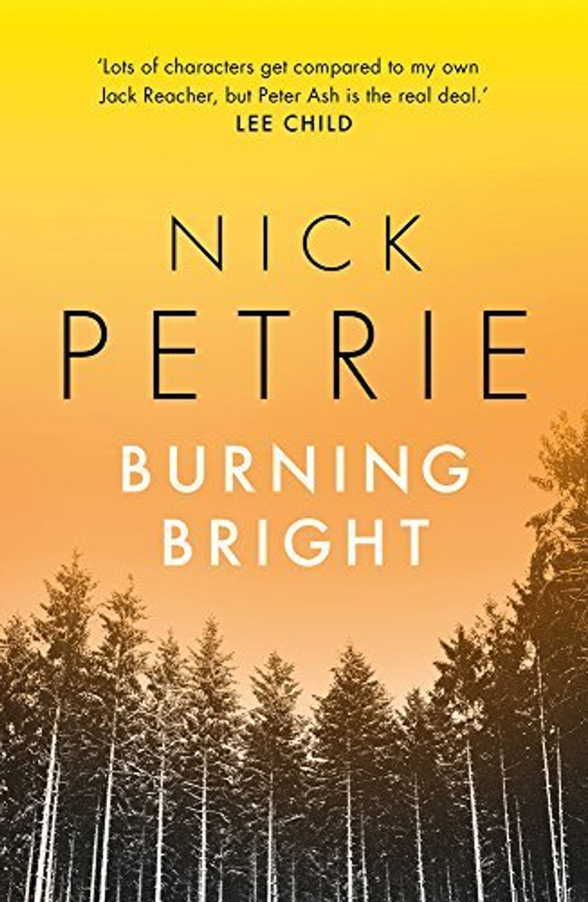 Nick Petrie / Burning Bright