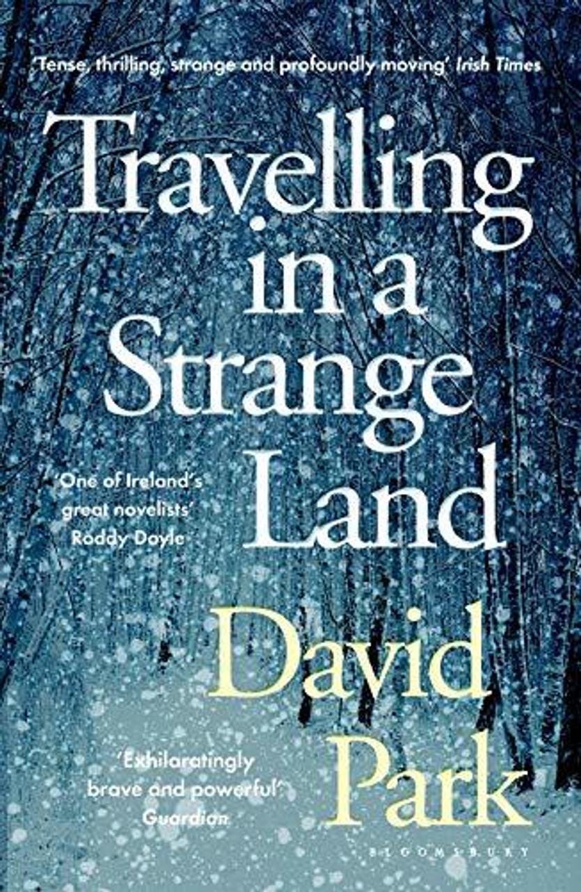 David Park / Travelling in a Strange Land David Park / Travelling in a Strange Land