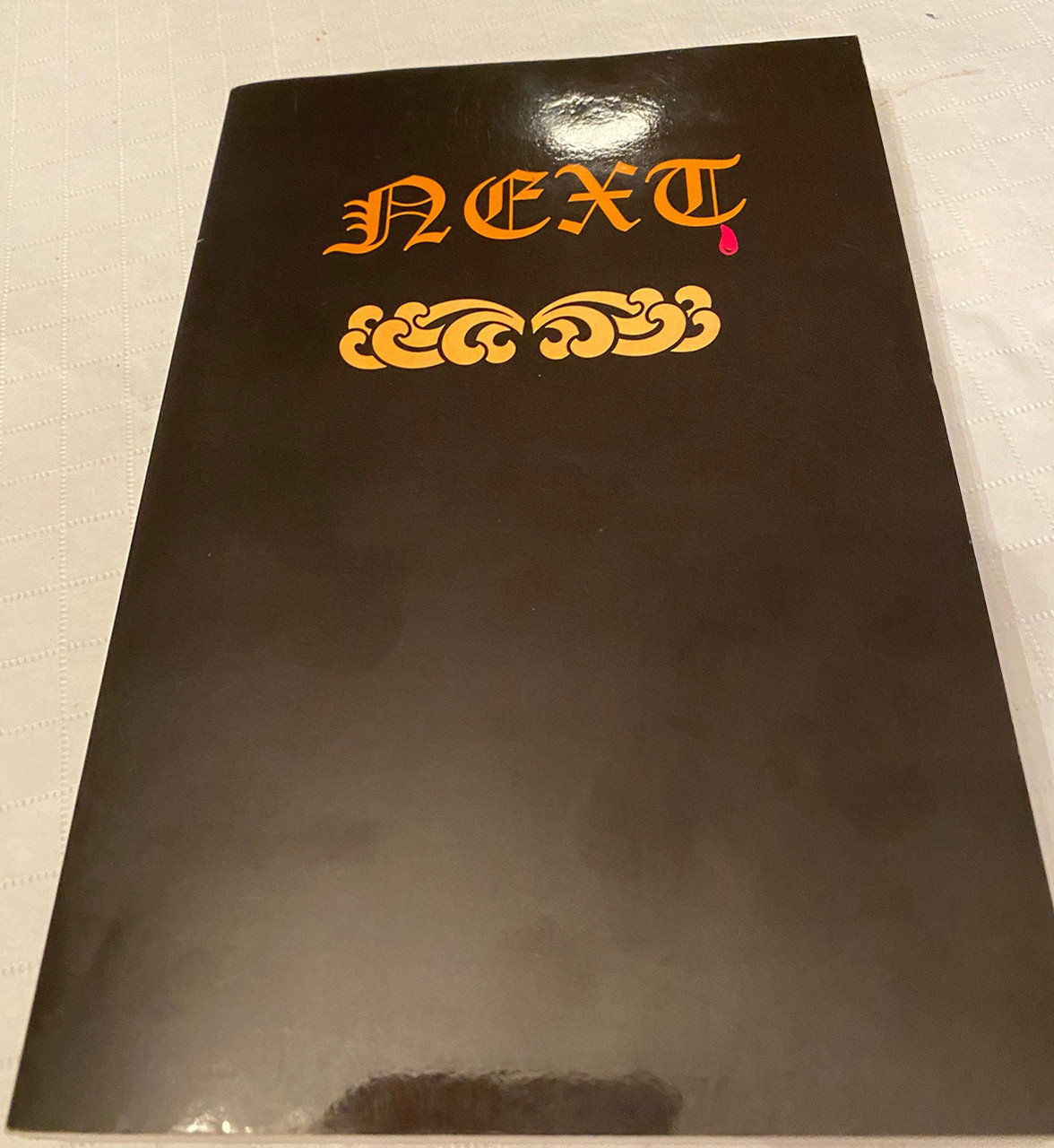 Lee Frank / Next : A Poetic Odyssey (Large Paperback)