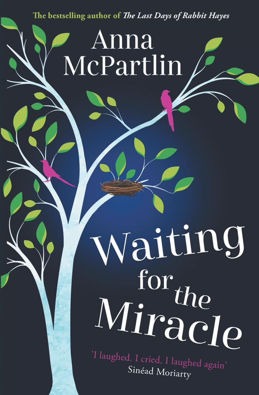 Anna McPartlin / Waiting for the Miracle