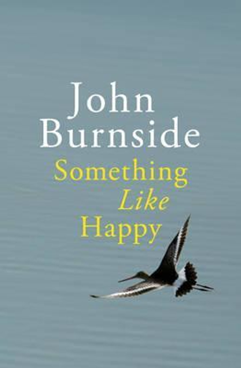 John Burnside / Something Like Happy (Hardback)