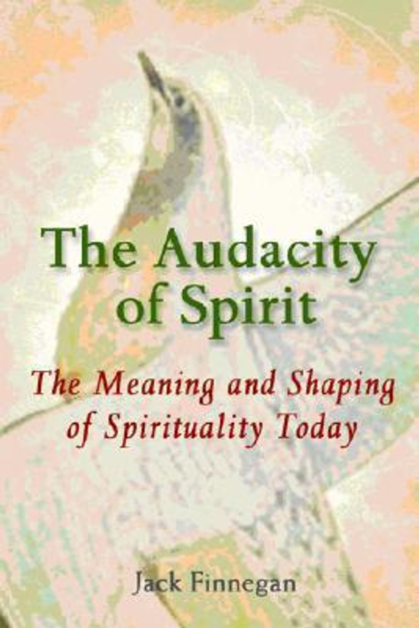 Jack Finnegan / The Audacity of Spirit: The Meaning and Shaping of Spirituality Today (Large Paperback)