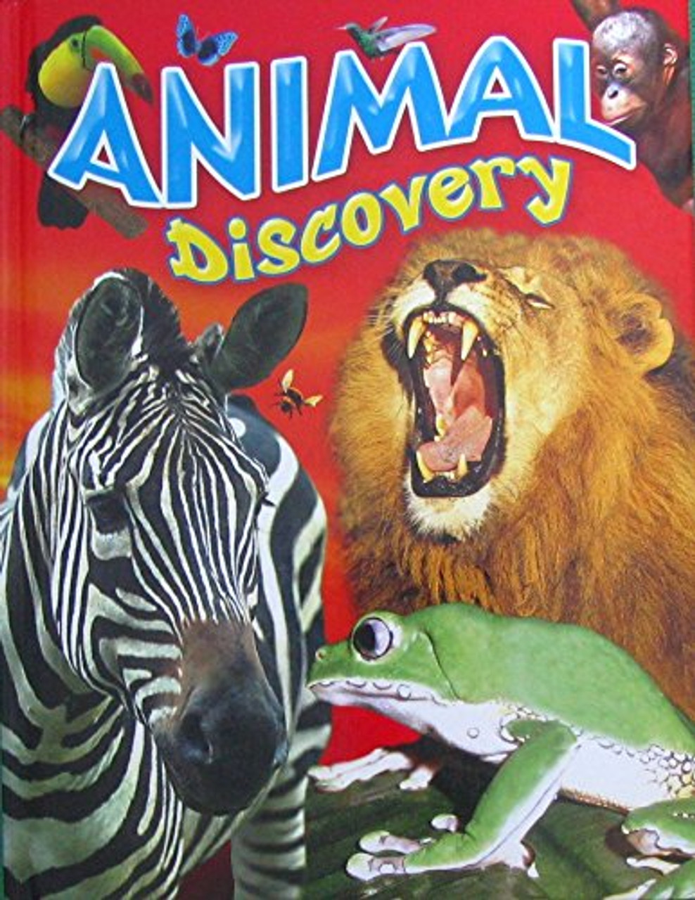 Animal Discovery (Children's Coffee Table book)