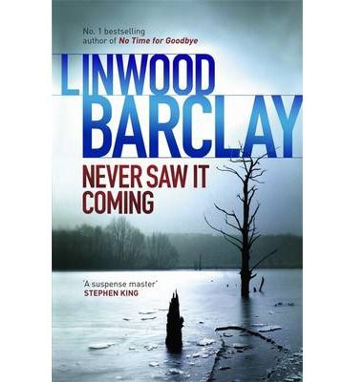 Linwood Barclay / Never Saw It Coming (Large Paperback) Linwood Barclay / Never Saw It Coming (Large Paperback)