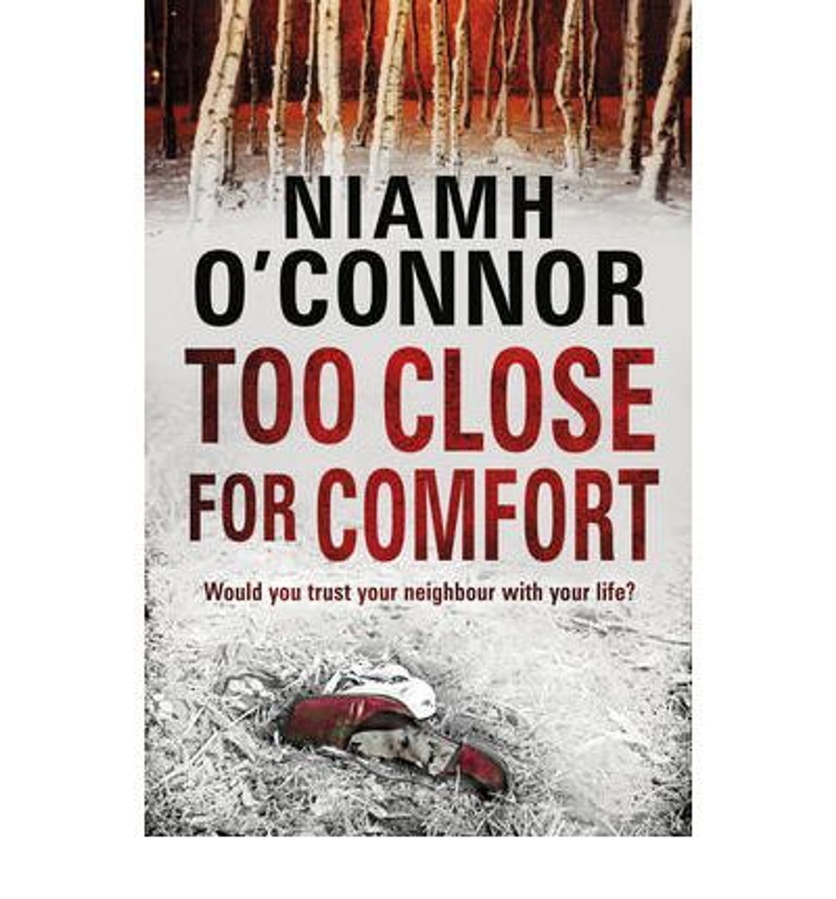 Niamh O'Connor / Too Close for Comfort (Large Paperback)