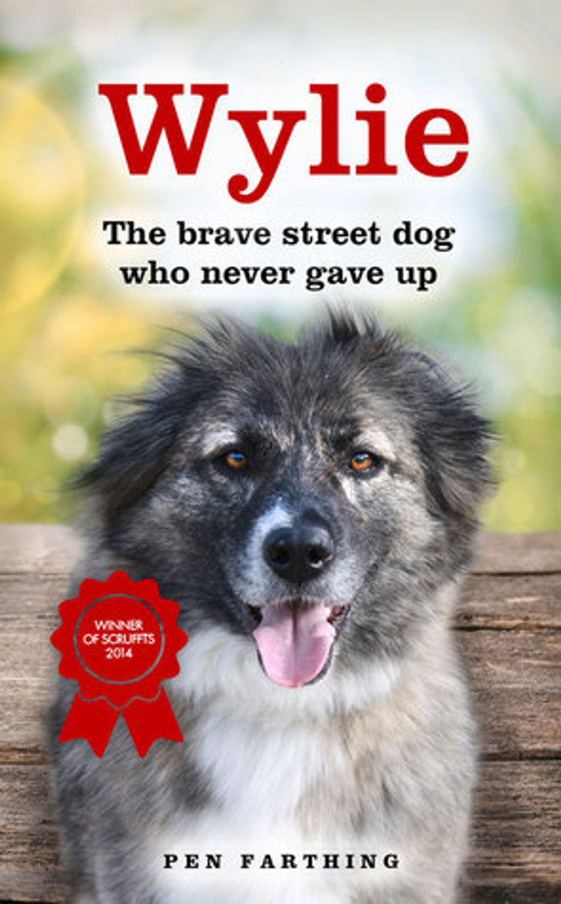 Pen Farthing / Wylie : The Brave Street Dog Who Never Gave Up